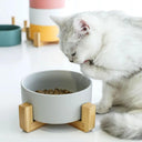 Ceramic Pet Feeding Bowls Eco Friendly Colorful Durable