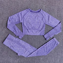 Seamless Yoga Set Women Leggings Crop Top