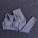 Seamless Yoga Set Women Leggings Crop Top