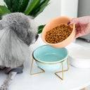 Ceramic Cat Bowl with Raised Stand Stylish Feeder for Pets