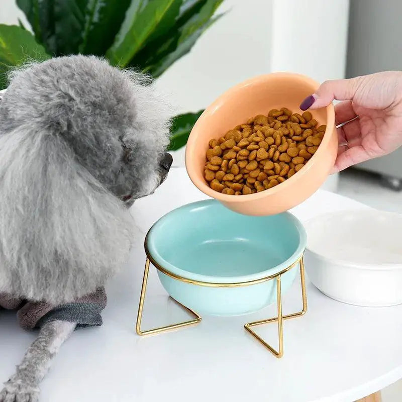 Ceramic Cat Bowl With Raised Stand Stylish Pet Feeder