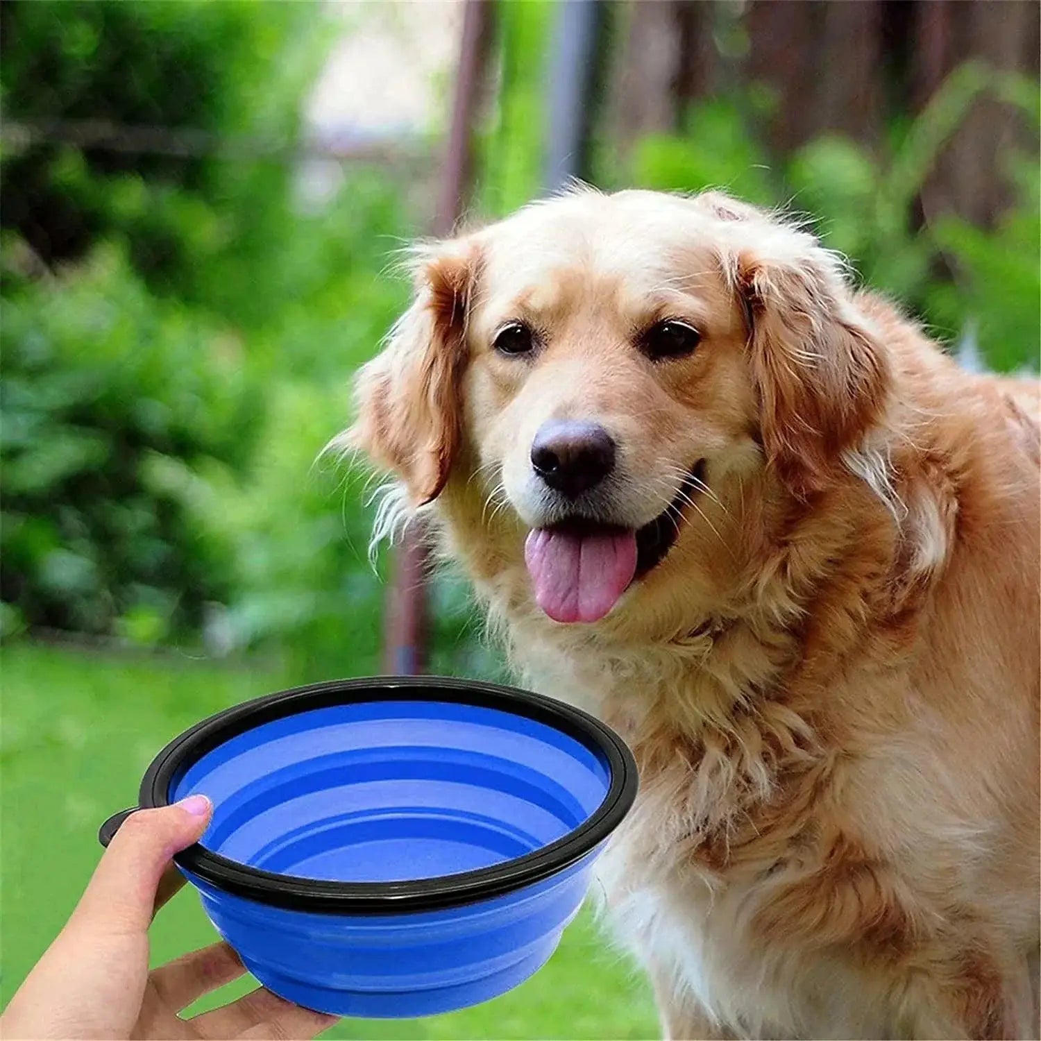 Foldable Silicone Pet Bowl Travel Friendly Portable Feeder