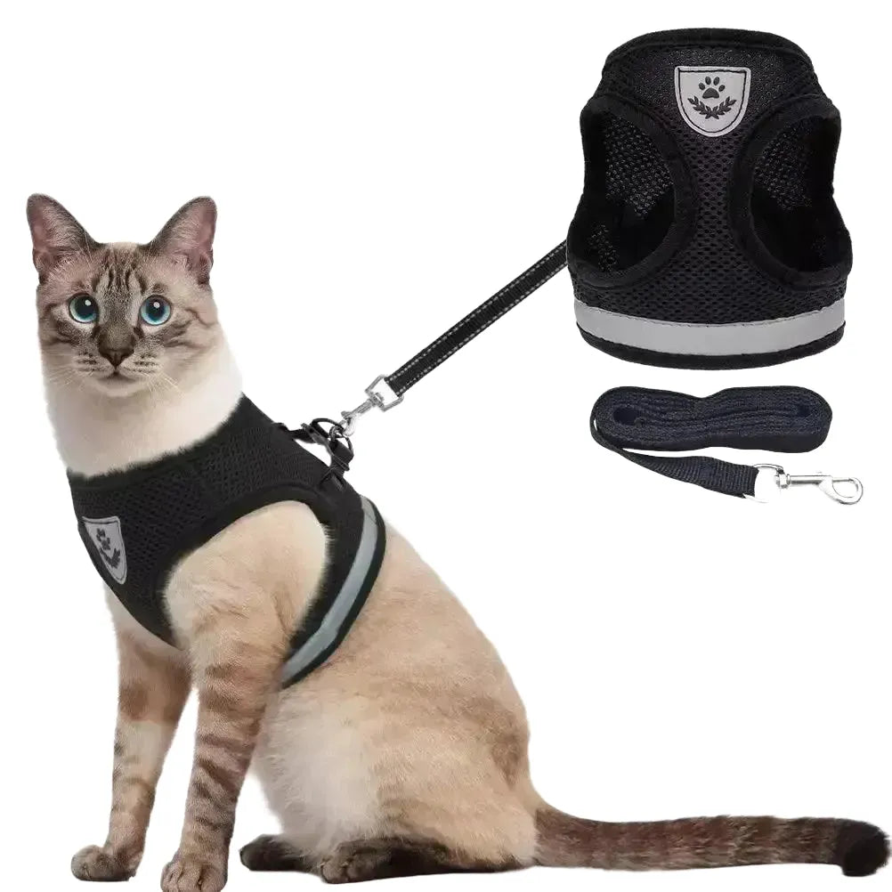 Escape-Proof Cat Harness for Outdoor Use — product view 1