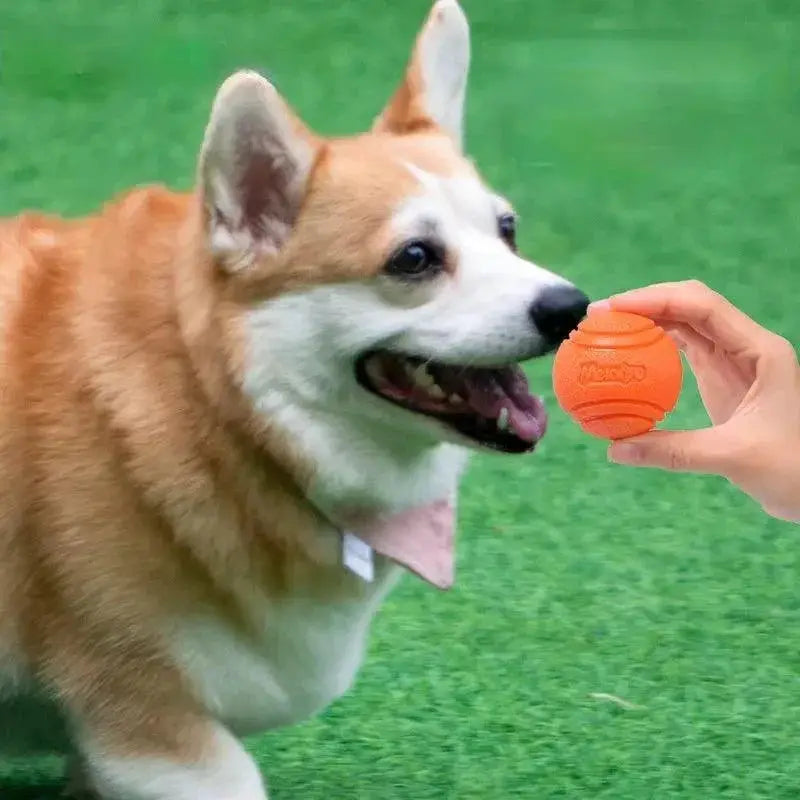 Indestructible Rubber Ball Chew Toy For Large Dogs Durable