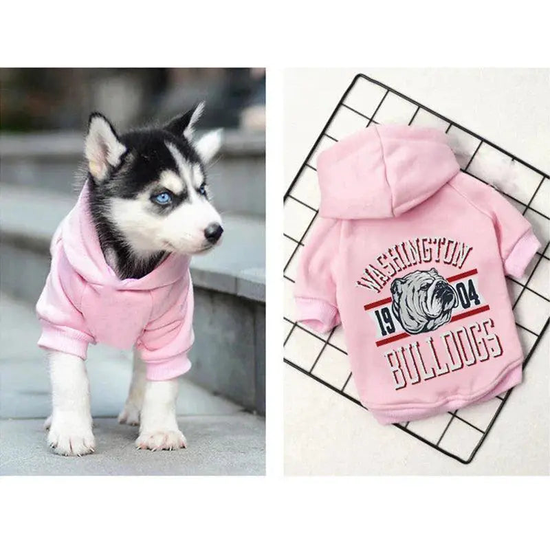 Winter Cotton Dog Hoodies For French Bulldogs Warm Stylish