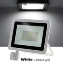 Outdoor Floodlight For Home Security