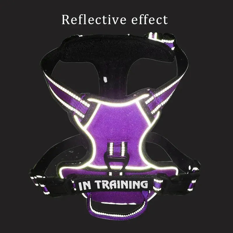 Adjustable Reflective Dog Harness Vest With Leash For Dogs