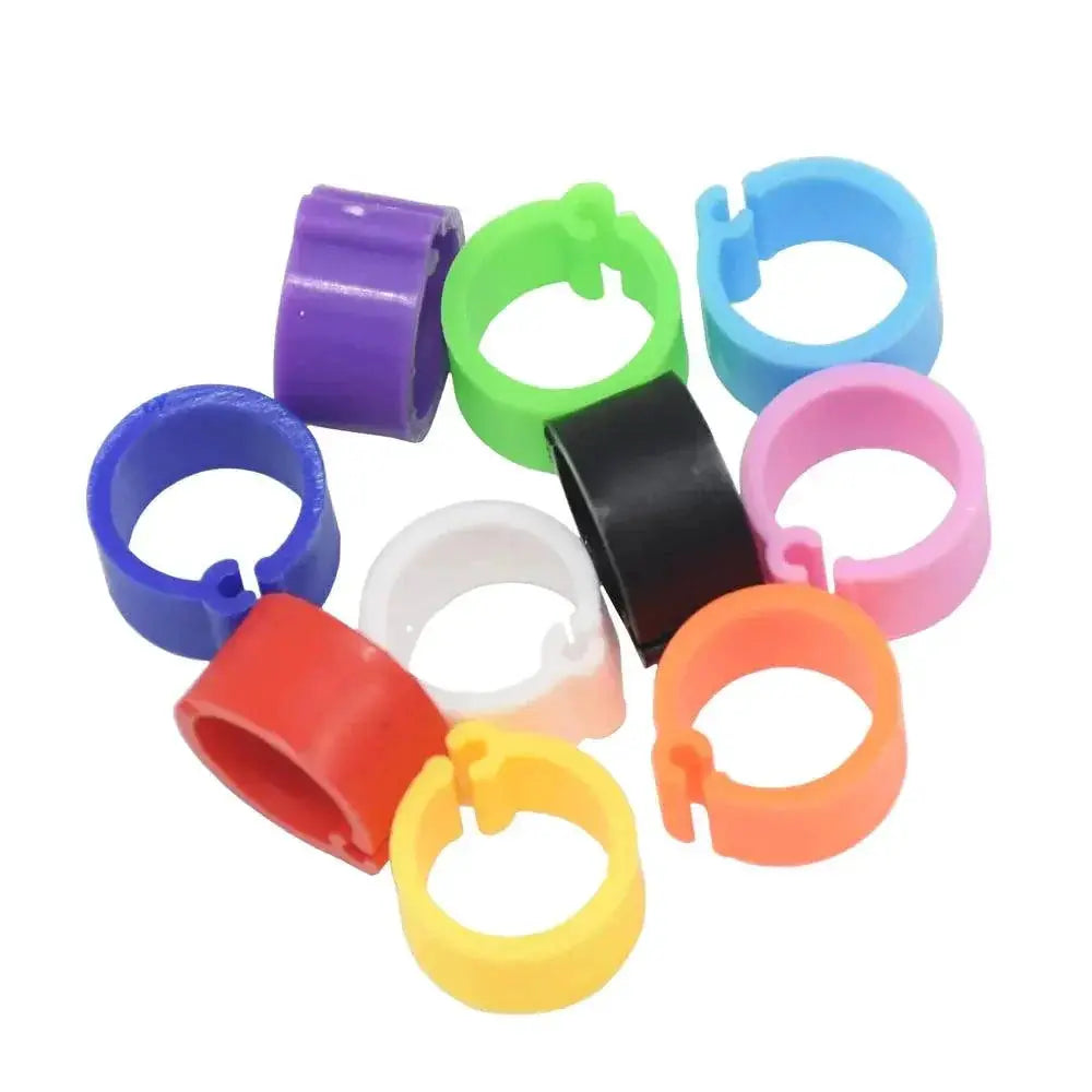 Birds Feet Rings Vibrant Plastic Clips For Easy ID