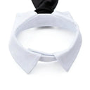 Pet Bow Tie Collar for Stylish Occasions
