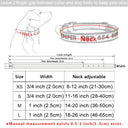 Embroidered Personalized Nylon Dog Collar for All Sizes