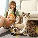 Siamese Cat Plush Toy Lifelike Doll Gift for Home Decor