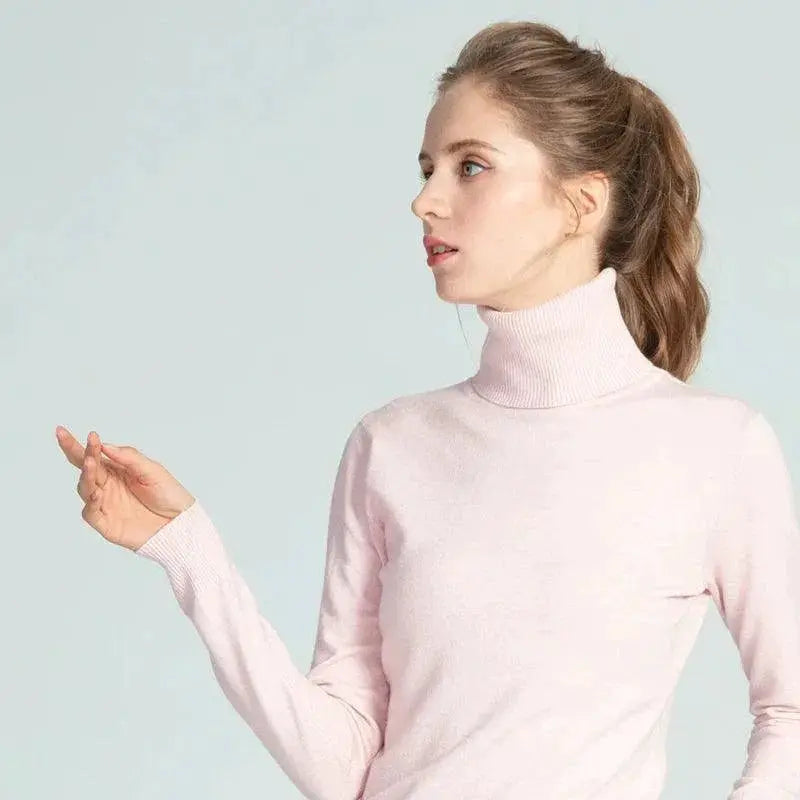 Marwin And Friend Knit Turtleneck Winter Sweater For Women