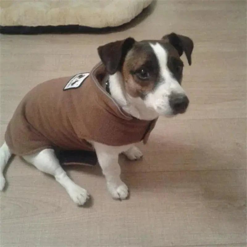 Reflective Dog Jacket For Night Safety And Cozy Comfort