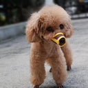 Adjustable Breathable Dog Muzzle for Safe Restraint