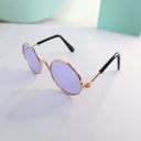 Trendy Pet Sunglasses for Cats and Small Dogs Look Stylish