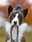 Winter Dog Hats Knitting French Bulldog & Chihuahua Hats
