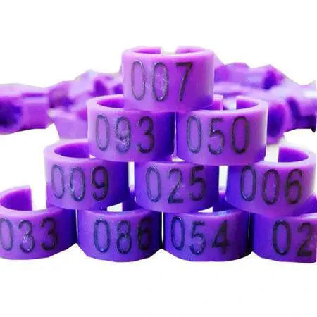 Pigeon Training Leg Bands Colorful Plastic Bird Tags 100 Pcs