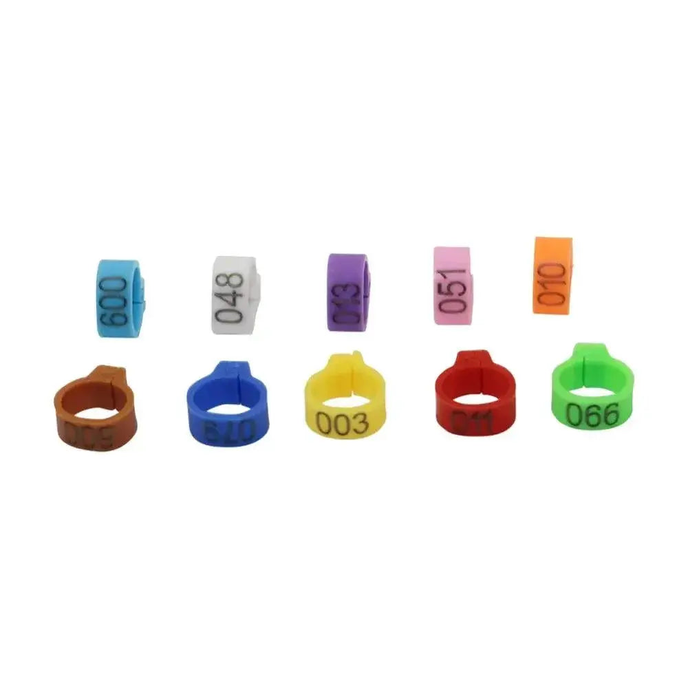 Birds Feet Rings 10 Colors Variety Pack For Bird Training