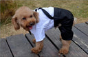 Pet Clothes Puppy Dog Tuxedo Suit Bow Tie Apparel S M L XL XXL