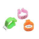 Birds Feet Rings 10 Colors Variety Pack Bird Training Essential