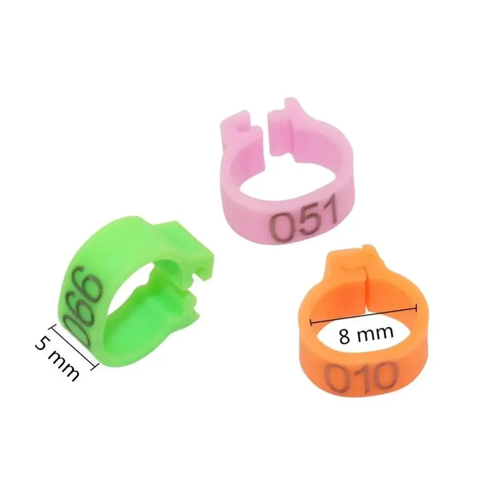 Birds Feet Rings 10 Colors Variety Pack For Bird Training