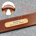 Personalized Leather Dog Collar with Free Engraving