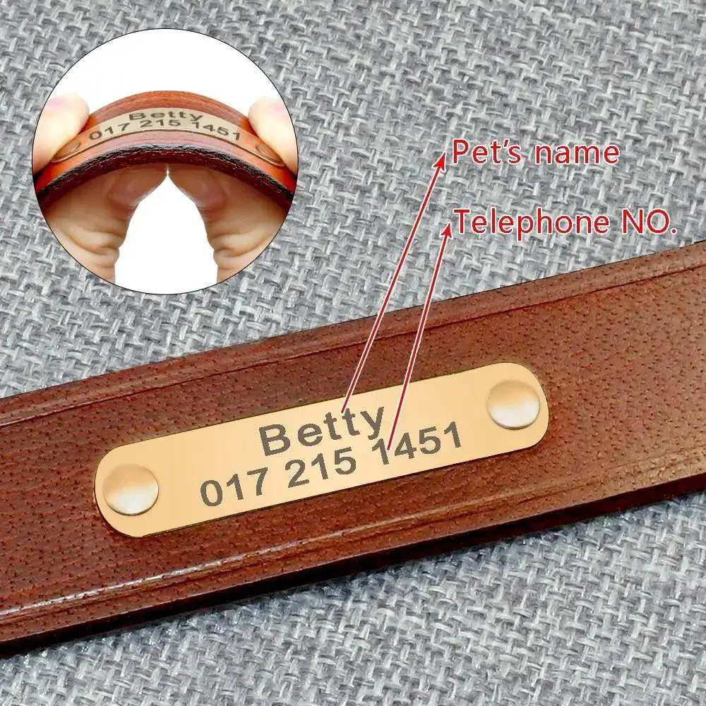 Personalized Leather Dog Collar With Free Engraving