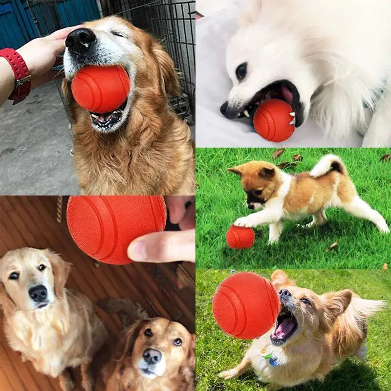 Hoopet Red Rubber Dog Toy Ball for Puppies and Pitbulls