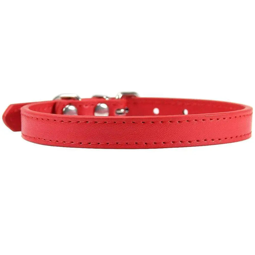 Padded Quick-Release Pet Collar for Dogs — product view 14