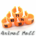 Colorful Bird Foot Rings for Pigeons and Parrots Durable