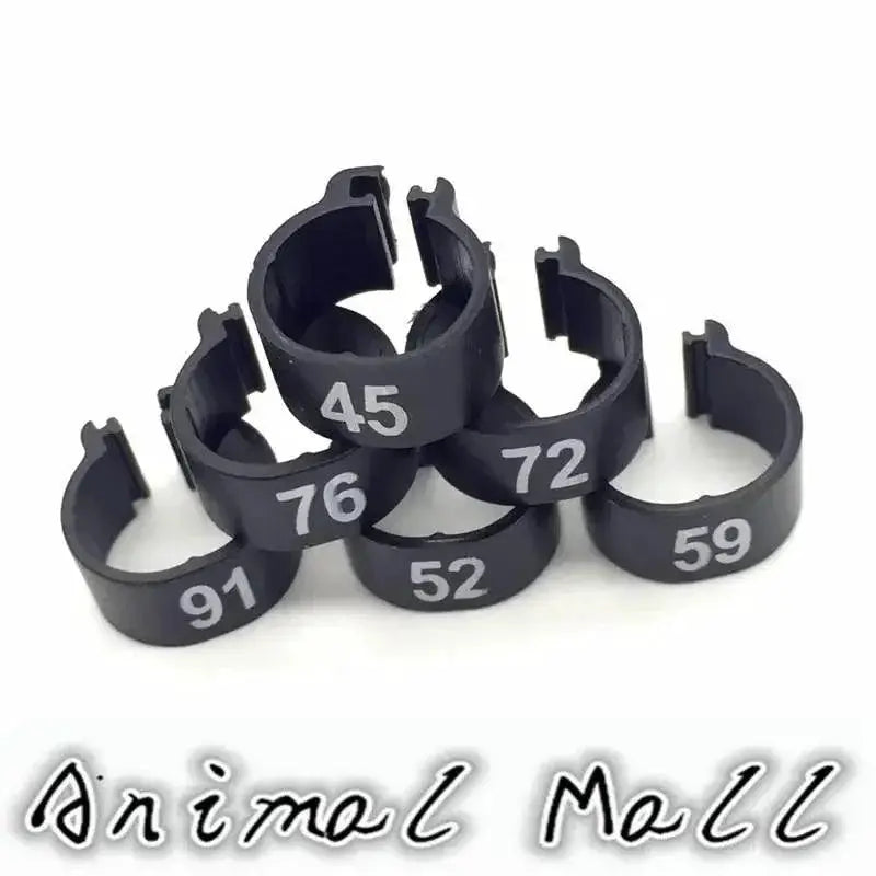 Colorful Bird Foot Rings For Pigeons And Parrots Durable