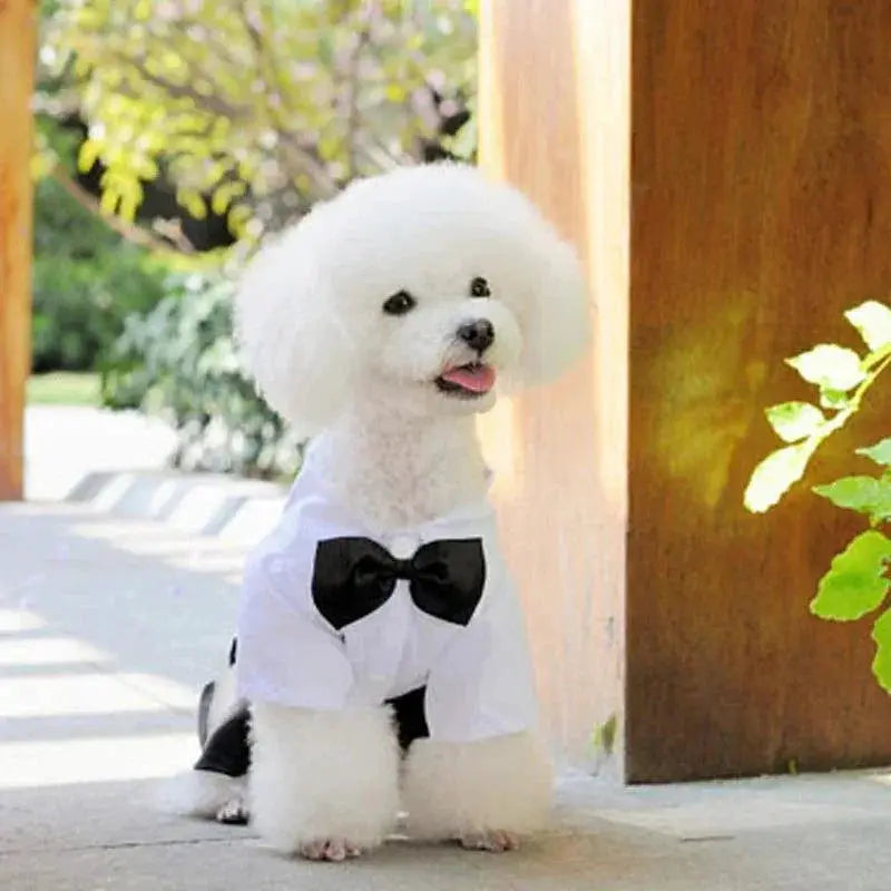 Pet Tuxedo Bow Tie Suit For Puppies Size S To XXL Apparel