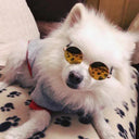 Trendy Doll Sunglasses for Fashionable Dolls and Pets