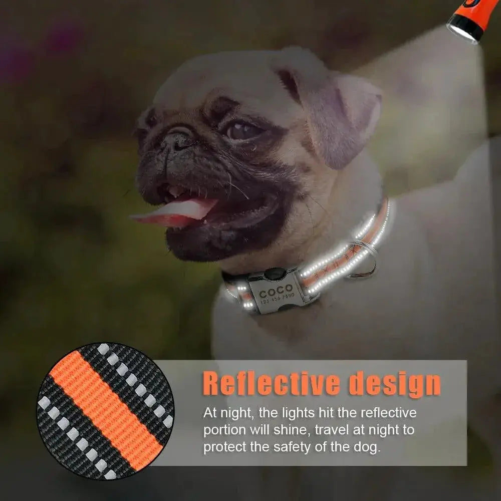 Personalized Reflective Nylon Dog Collar for All Dog Sizes