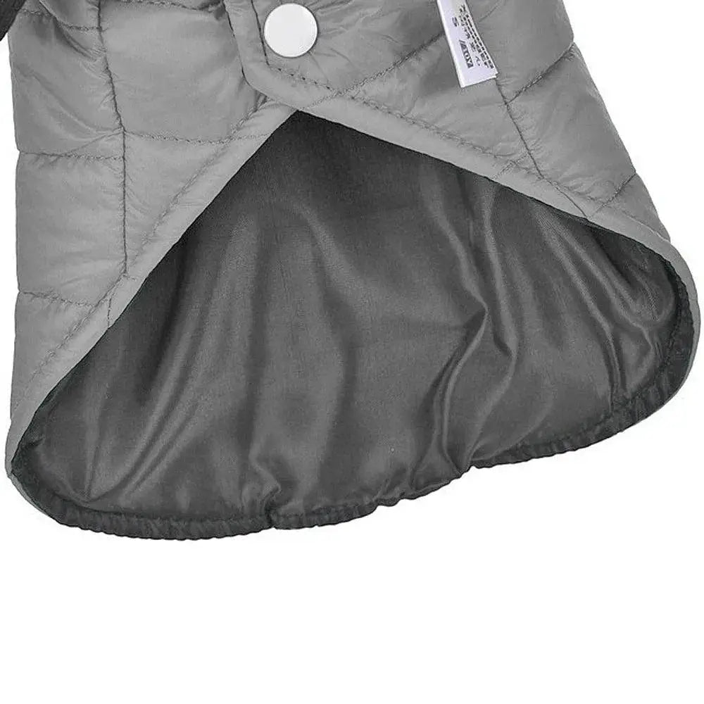 Chihuahua Winter Jacket Red Waterproof Coat For Small Dogs