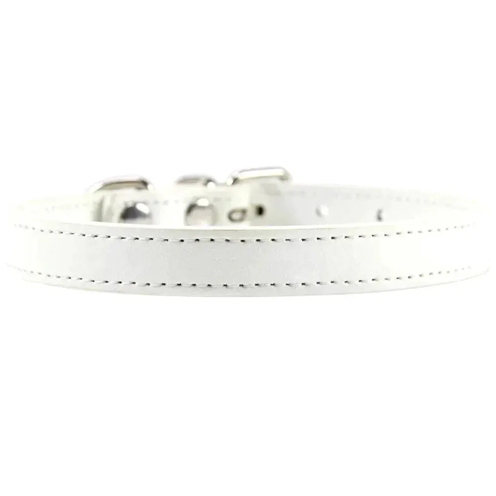 Colorful Leather Pet Collar Custom Padded Quick Release