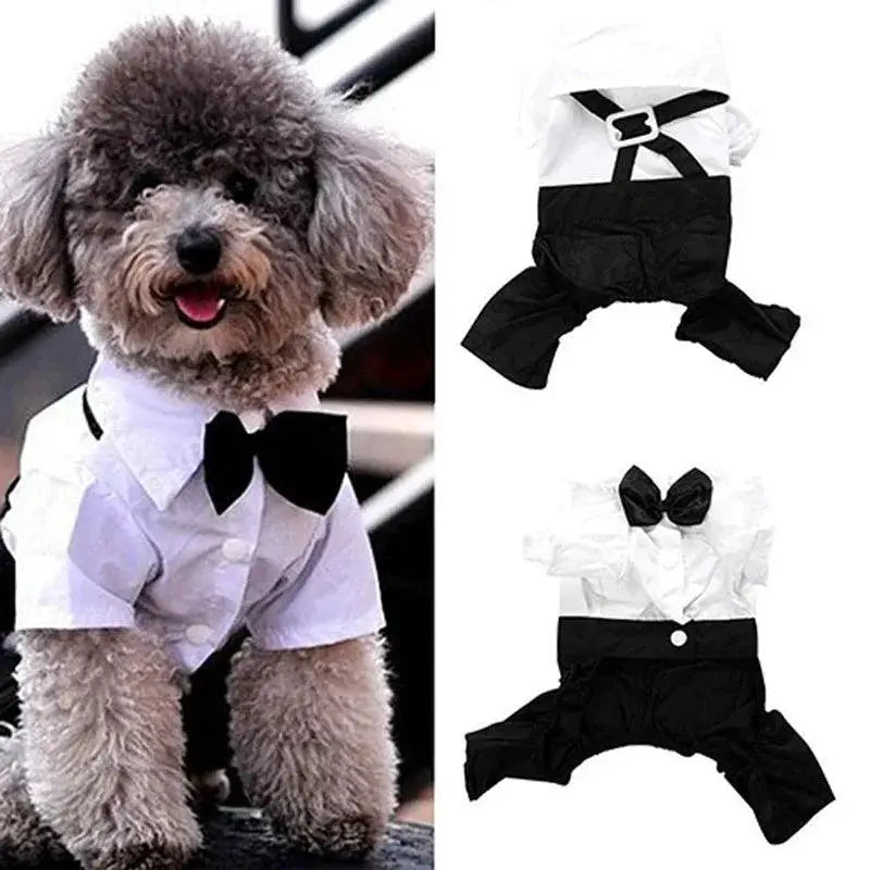 Pet Tuxedo Bow Tie Suit For Puppies Size S To XXL Apparel