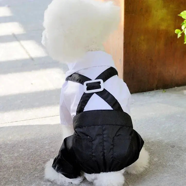 Pet Tuxedo Bow Tie Suit For Puppies Size S To XXL Apparel