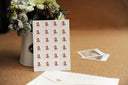 Cartoon Animal Stickers for Albums