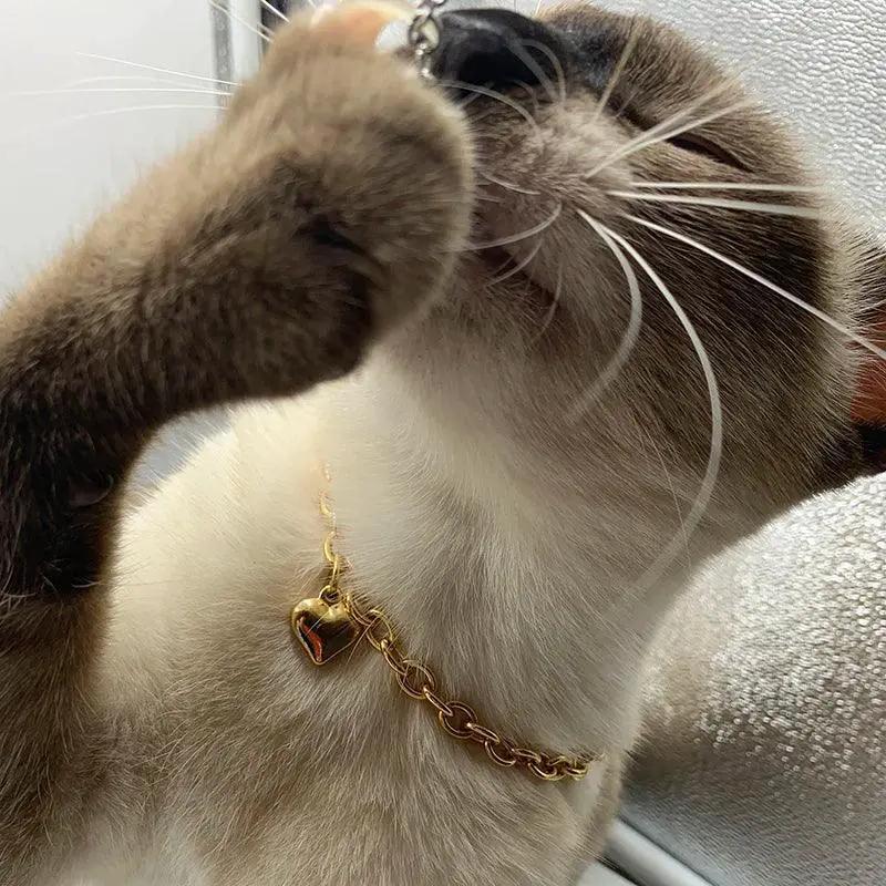 Gold Heart Charm Necklace For Pets Stainless Steel Cat Dog