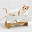Ceramic Bamboo Pet Bowl Set Stylish Elevated Feeding Station