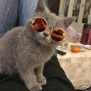Trendy Doll Sunglasses for Fashionable Dolls and Pets