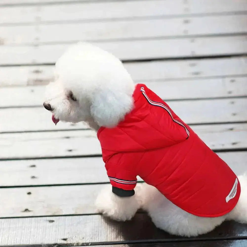 Chihuahua Winter Jacket Red Waterproof Coat For Small Dogs