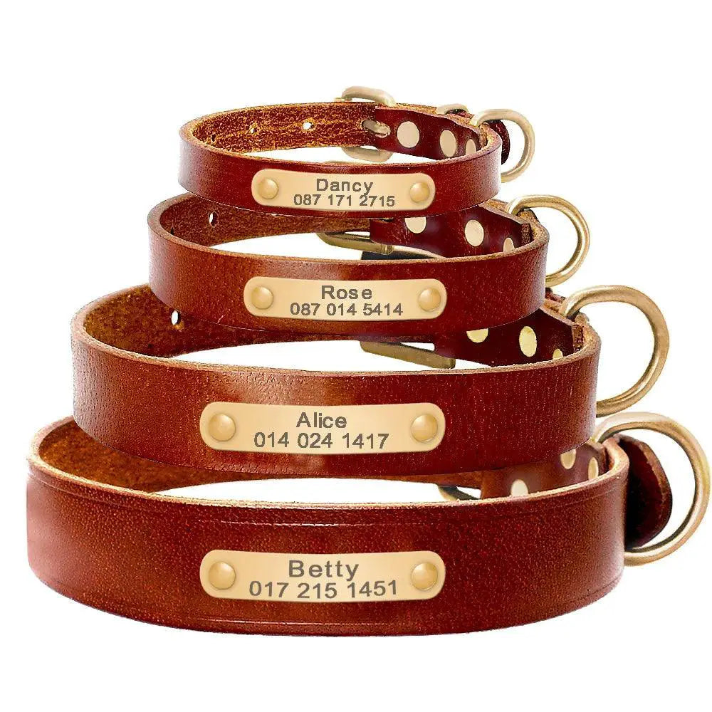 Personalized Leather Dog Collar With Free Engraving