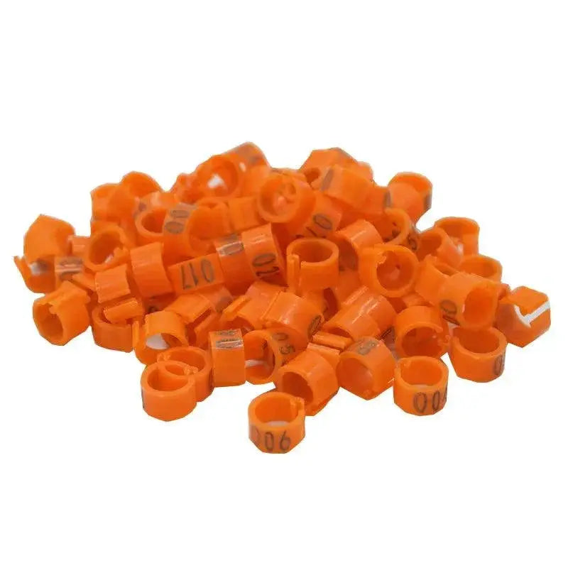 Pigeon Training Leg Bands Colorful Plastic Bird Tags 100 Pcs