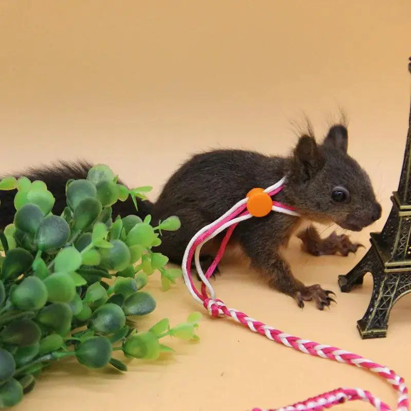 Hamster Rope Harness Outdoor Leash Stylish Pet Accessory