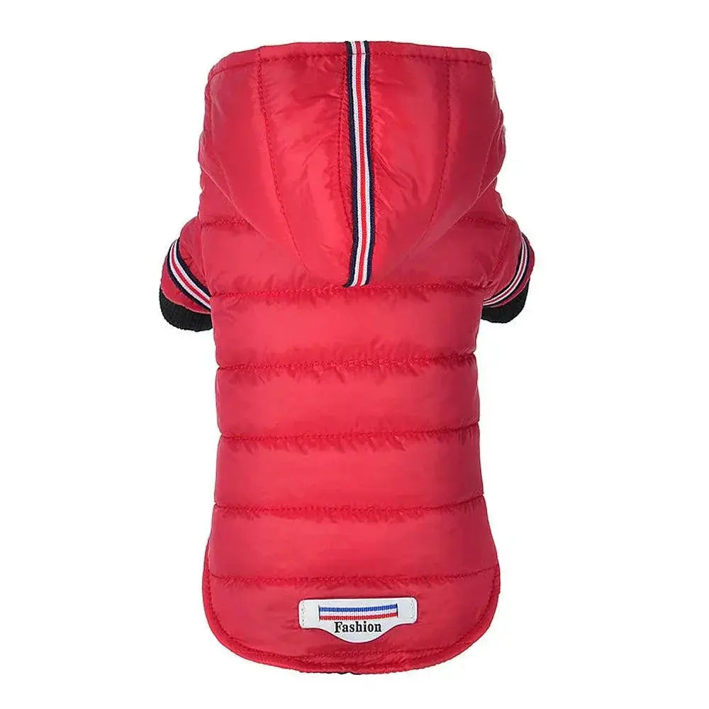 Chihuahua Winter Jacket Red Waterproof Coat For Small Dogs