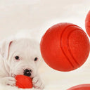 Durable Rubber Dog Toy Ball for Puppies