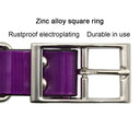 Fashion Waterproof Pet Collar: Stylish, Durable, 7 Colors