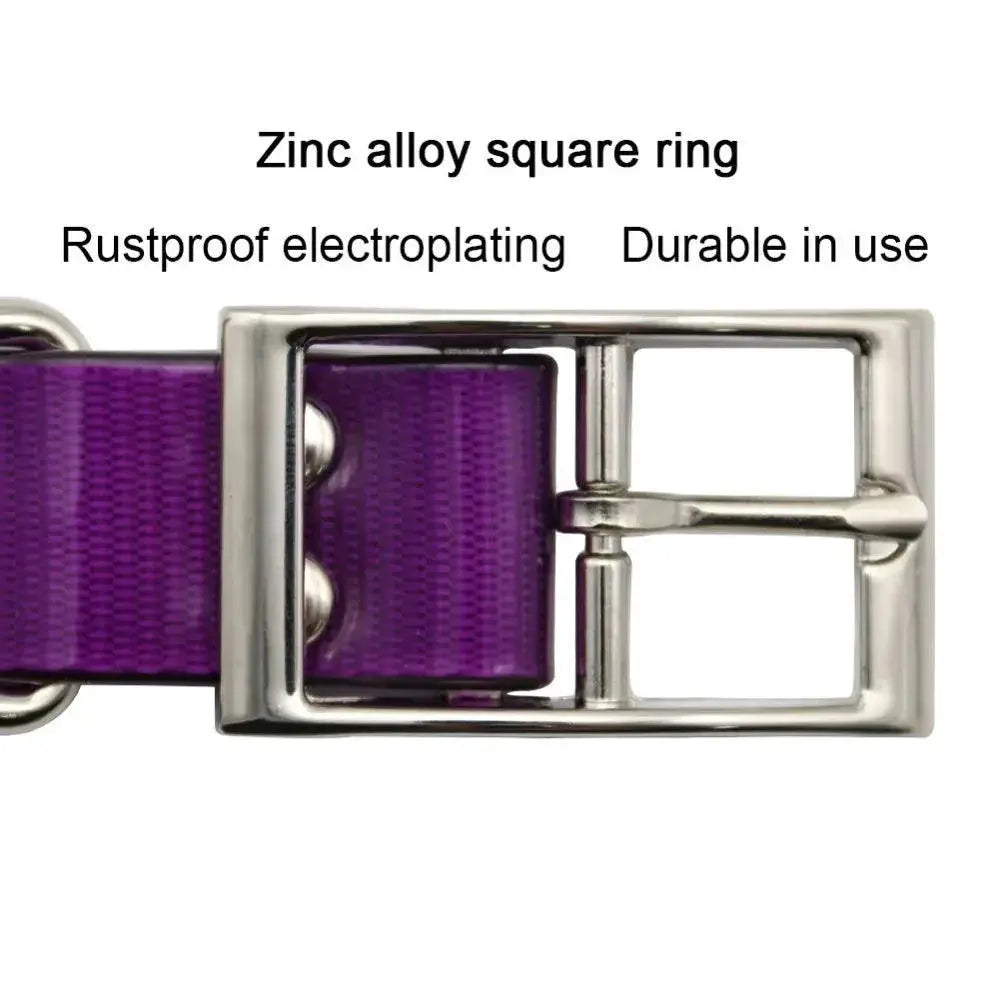 Fashion Waterproof Pet Collar Durable Style In 7 Colors